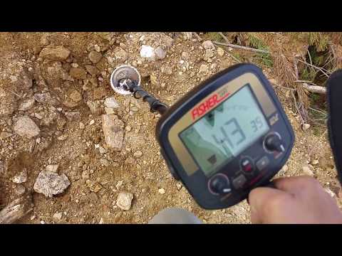 Fisher Gold Bug Metal Detector with Waterproof 5" DD Coil - Image 4