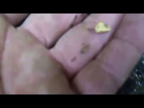 Fisher Gold Bug Pro Metal Detector with Waterproof Coil - Image 3